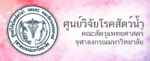 Relateds Banner Slider-6878703db707d.jpg